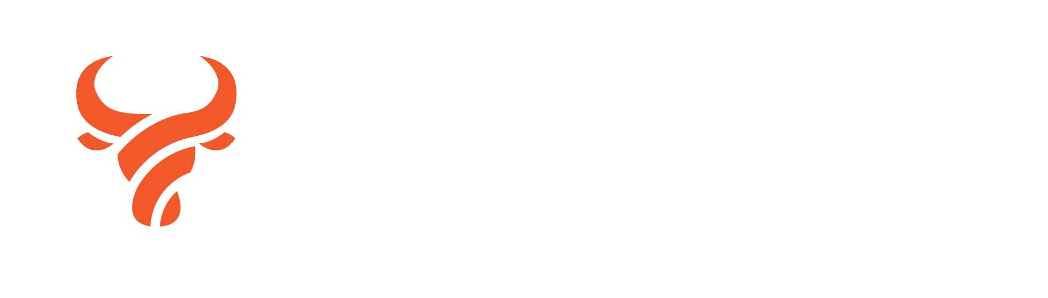 Marketing Latino